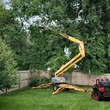 Leaf Removal in Perry, KS